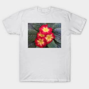 102018 petunias T-Shirt